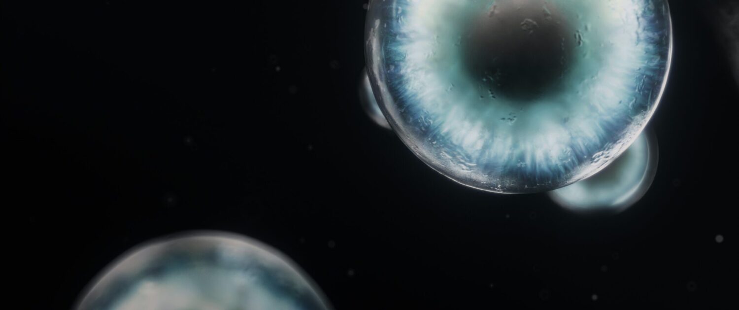 “THIRDWAVE” VI