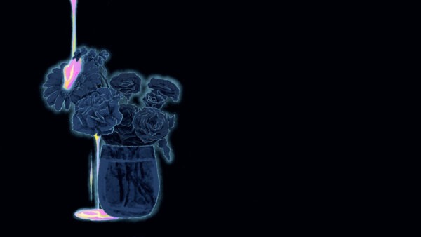 Elena Berry「Goldfish」Music Video