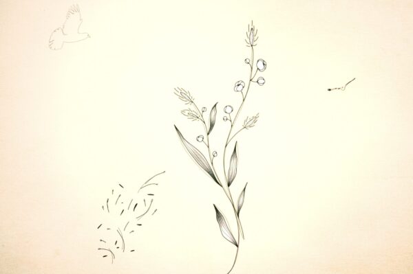 大塚 愛 / graine