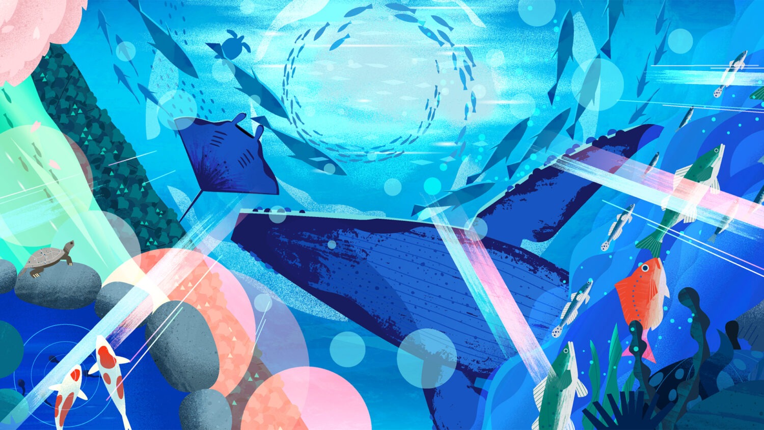 Balance Planet / Ikimono Touch