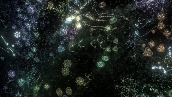 並列計算される遺伝子