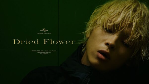 imase – Dried Flower