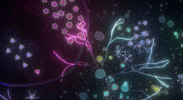 うまれる，かかわる，またうまれる，