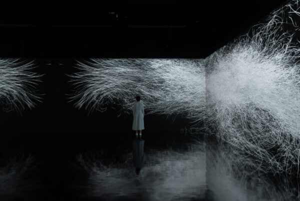 Dissipative Figures – 1000 Birds, Light in Dark