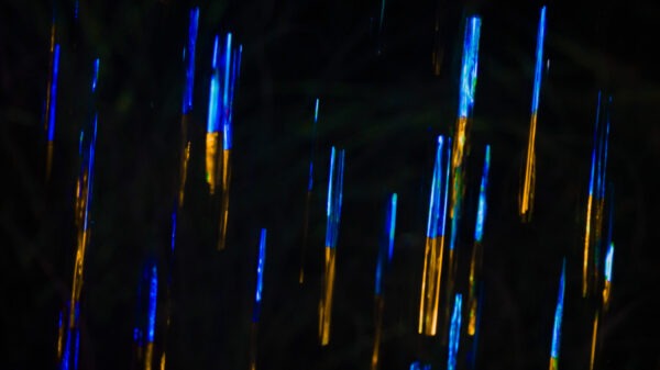雨の儚い結晶