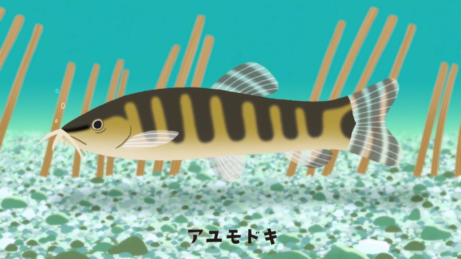 アユモドキのうた