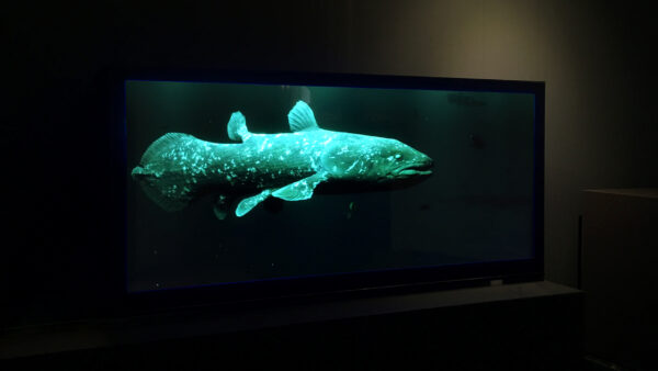 第98回 西武そごう高輪会