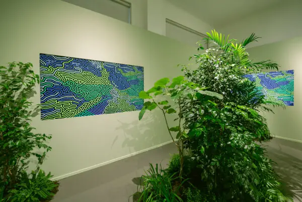 Soul/Soil by Ricoh: Soul Motion | 映像作家 100人 Japanese Motion