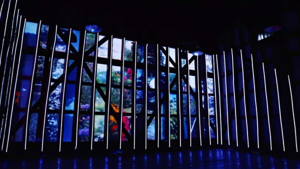 「光の古層」鳥取県日野町 旧米倉庫跡地 映像×電飾インスタレーション