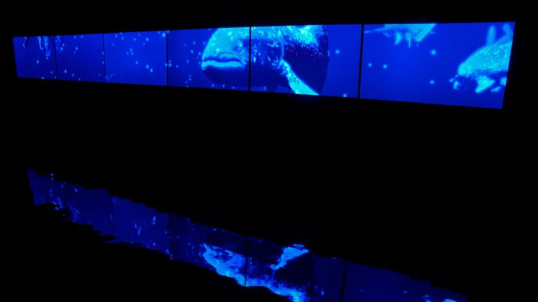 かけがえのないもの – 地球・風景・環境 展