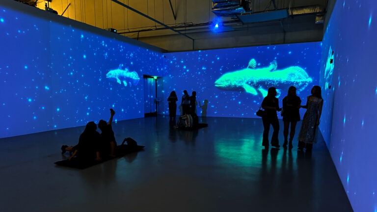 WONDERS OF NATURE 展