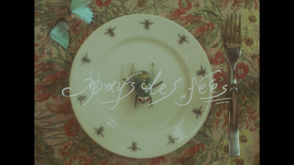 pays des fées2026 SS “mucilage”