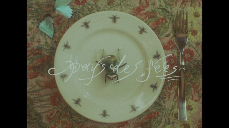 pays des fées2026 SS “mucilage”