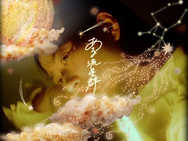 フジタ カコ -「ある流星群」Music Video