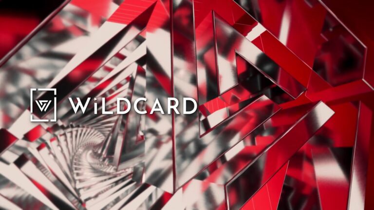 WiLDCARD inc. 2025 Reel