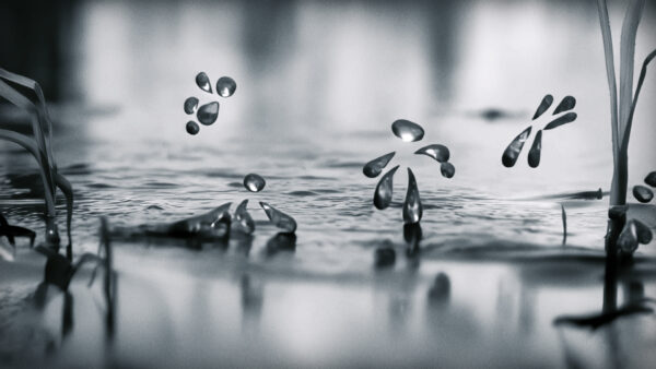 第12回 新千歳空港国際アニメーション映画祭 公式トレーラー映像 / New Chitose 2025 Signal Film