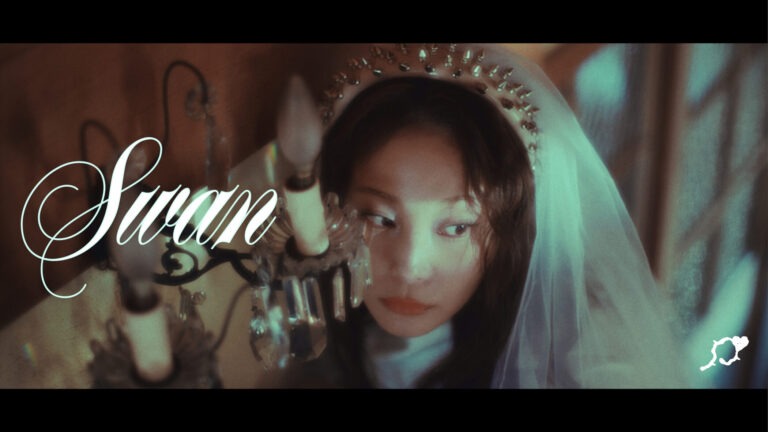 phonia「swan」