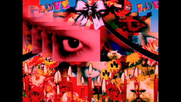 THE LUV BUGS, 窓辺リカ, TORIENA / bootleg wonderland（Music Video）