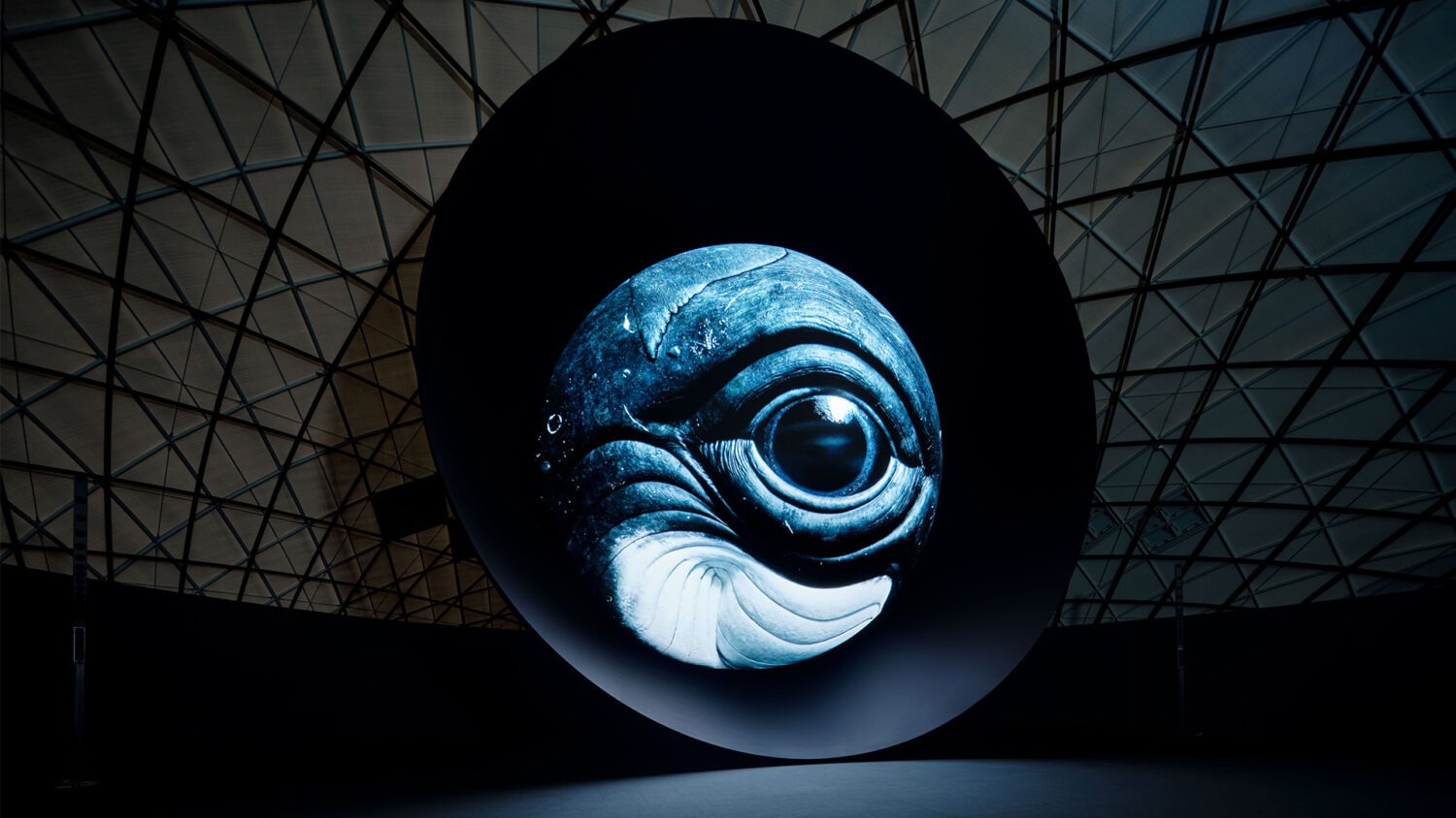 Osaka-Kansai Expo 2025 “BLUE OCEAN DOME”