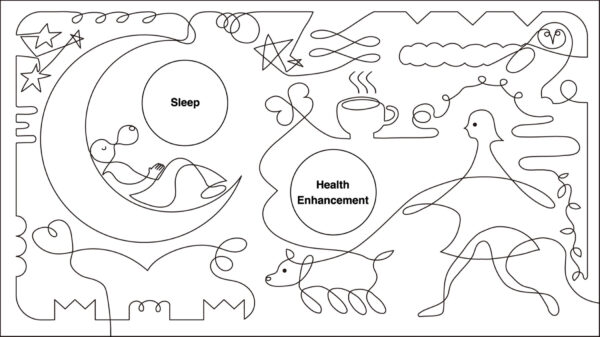 ROUTINE FILMS Animation