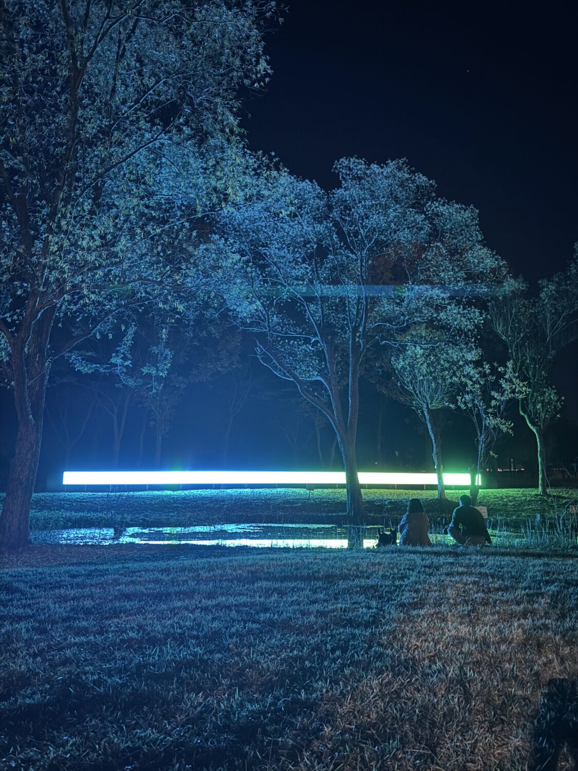 Snake Line (2025)