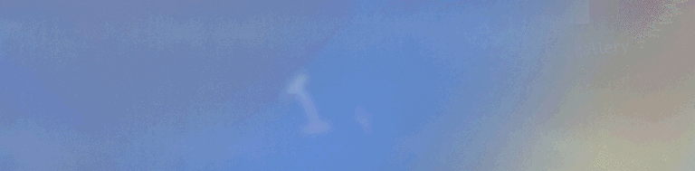 Imaginary Flowers 空想花展 – uesatsu