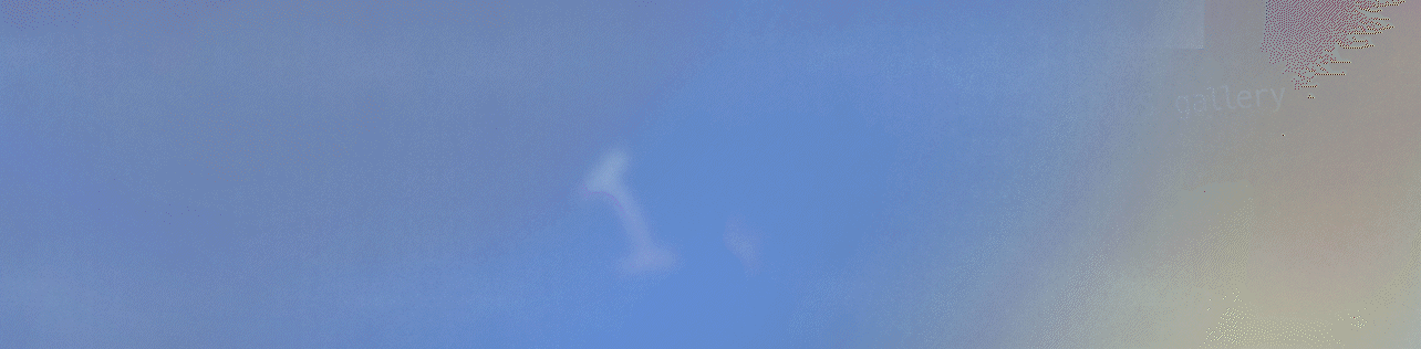 Imaginary Flowers 空想花展 – uesatsu